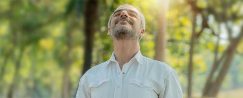 Estudio inmuno detox