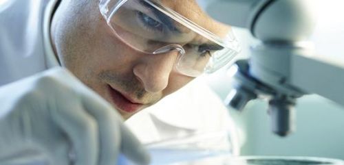 Conservación de células madre (servicio first)