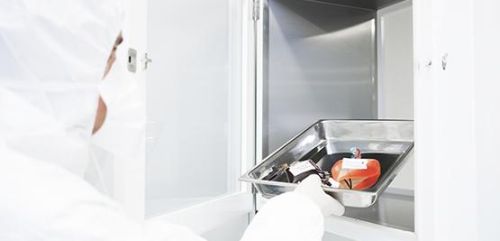 Conservación de células madre (servicio advanced)