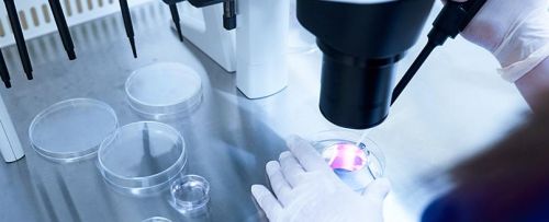 Inseminación artificial conyugal (IAC)